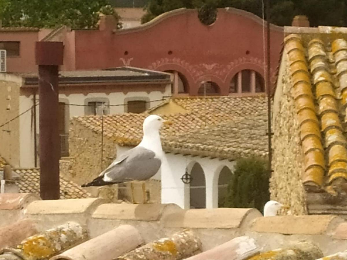 Apartaments L'Arc Palafrugell Luaran gambar