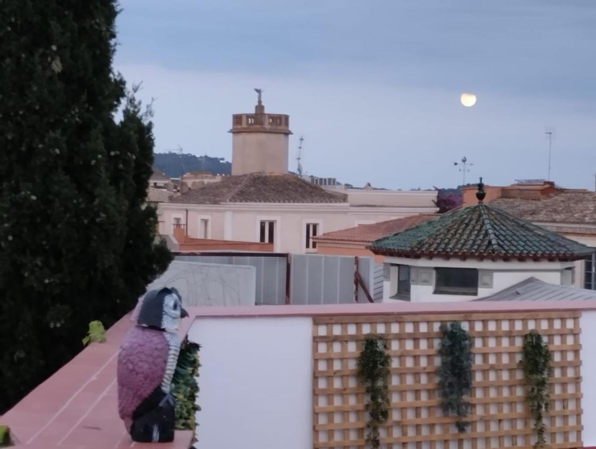 Apartaments L'Arc Palafrugell Luaran gambar